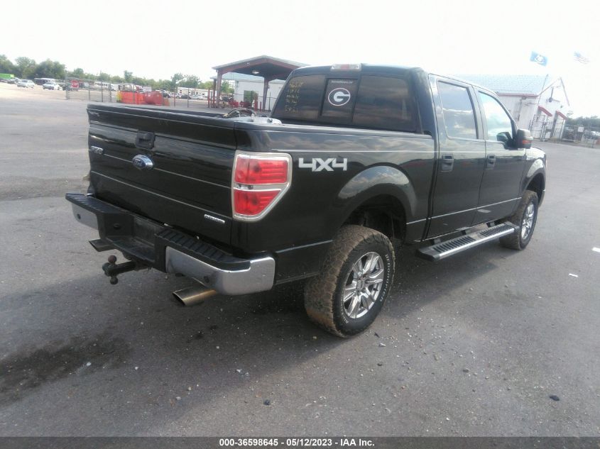 2013 FORD F-150 XL/XLT/FX4/LARIAT - 1FTFW1EF0DKF15473