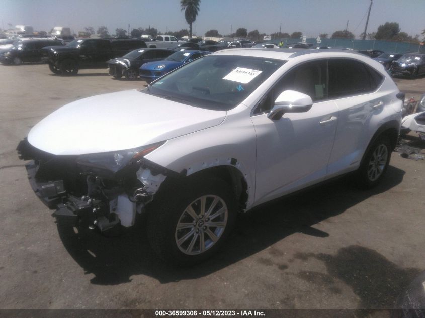 2020 LEXUS NX NX 300H - JTJDJRDZ8L5004314