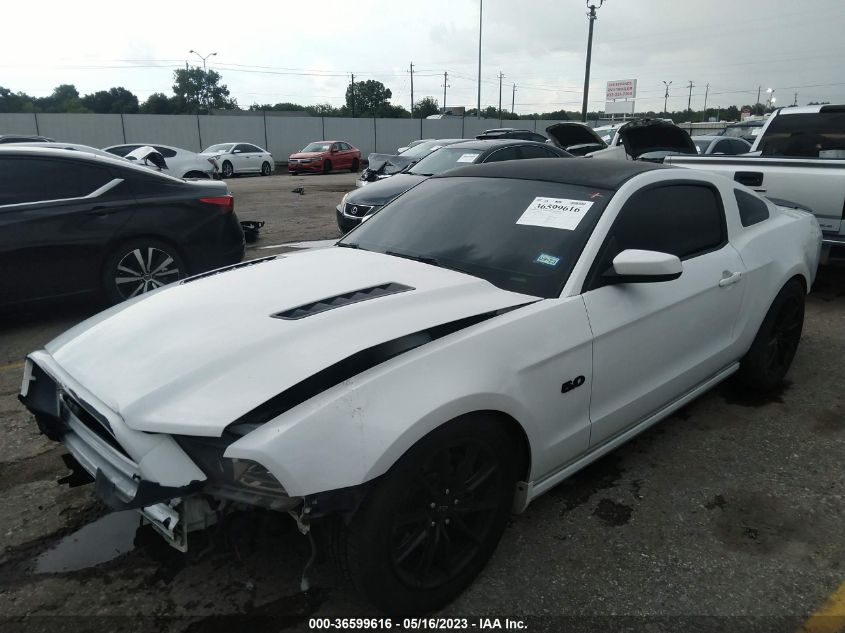 2014 FORD MUSTANG GT - 1ZVBP8CF4E5327155