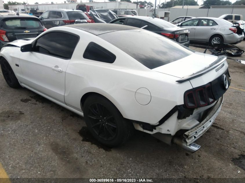 2014 FORD MUSTANG GT - 1ZVBP8CF4E5327155