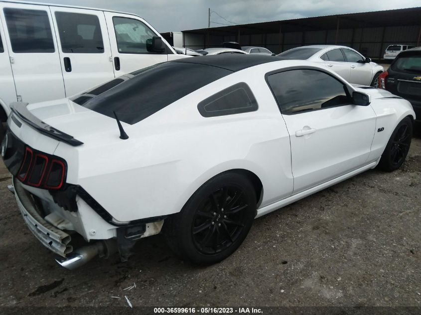 2014 FORD MUSTANG GT - 1ZVBP8CF4E5327155