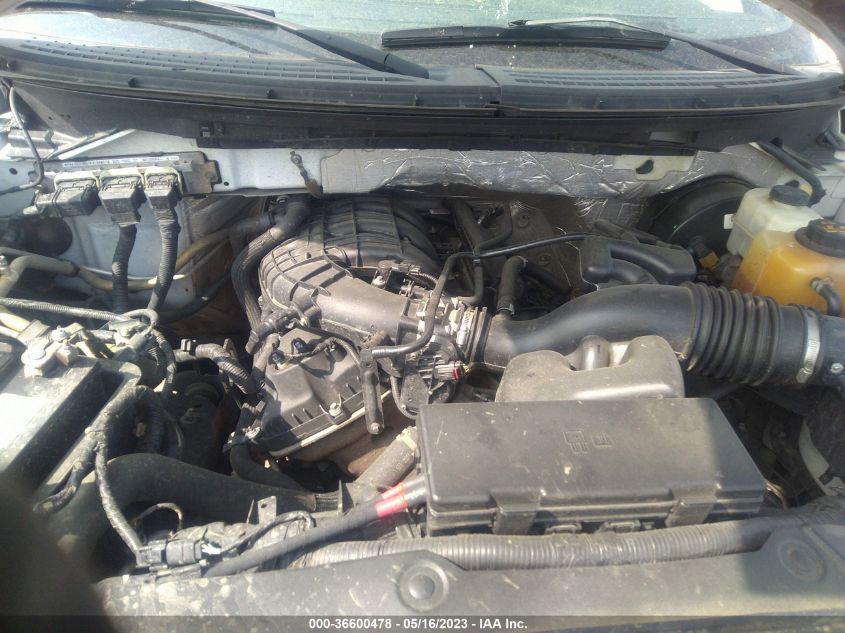 2013 FORD F-150 STX - 1FTEX1CM9DKF33772
