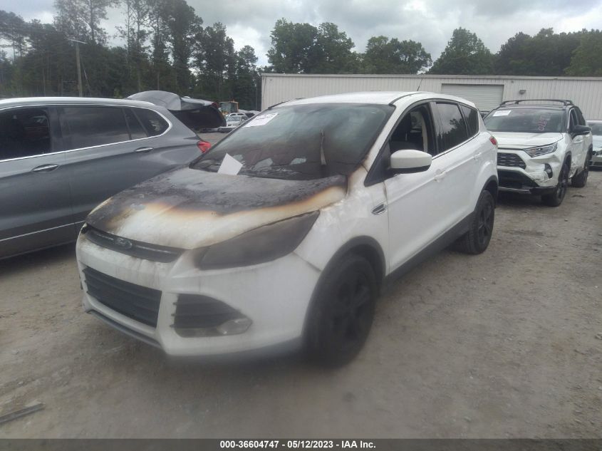 2014 FORD ESCAPE SE - 1FMCU0GX2EUC42238