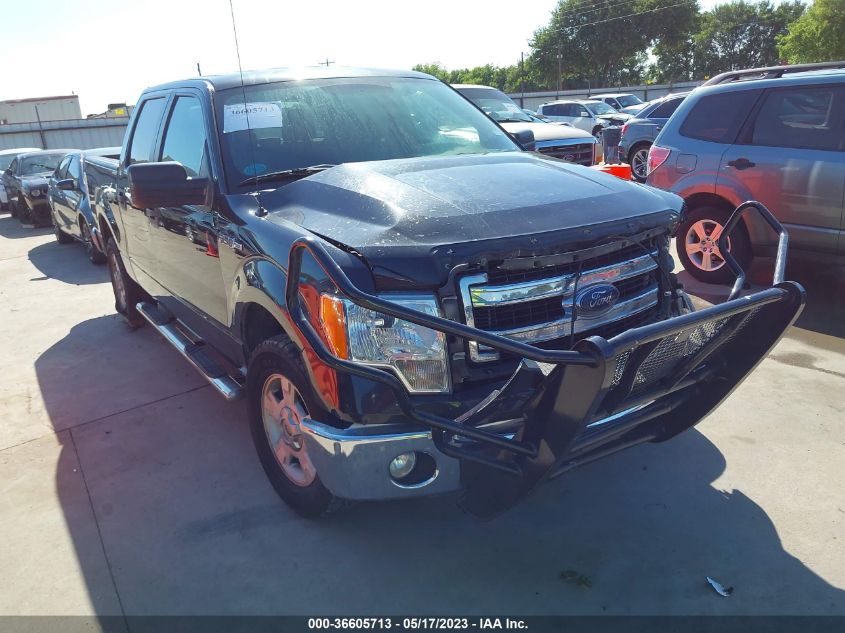 2013 FORD F-150 XL/XLT - 1FTEW1CM7DFE02691