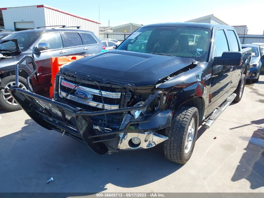 2013 FORD F-150 XL/XLT - 1FTEW1CM7DFE02691