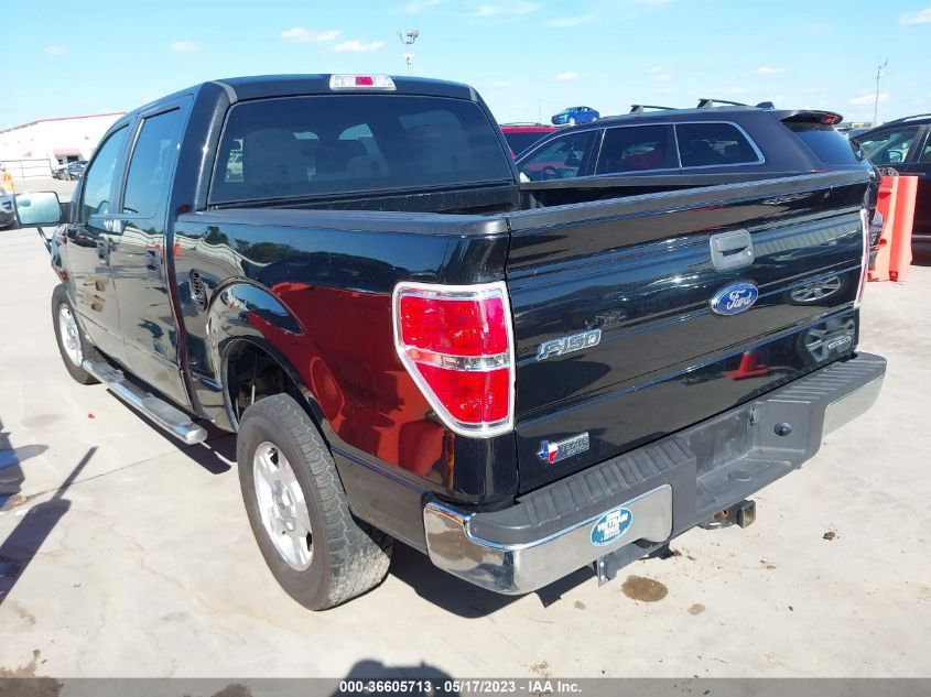 2013 FORD F-150 XL/XLT - 1FTEW1CM7DFE02691