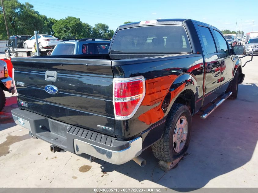 2013 FORD F-150 XL/XLT - 1FTEW1CM7DFE02691