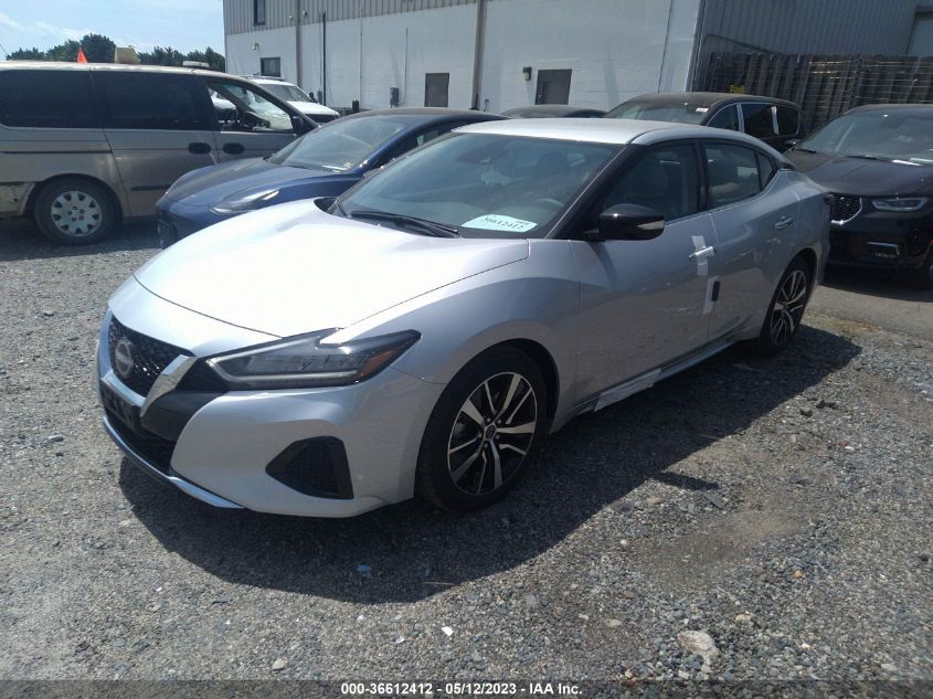 2023 NISSAN MAXIMA SV - 1N4AA6CV9PC509546