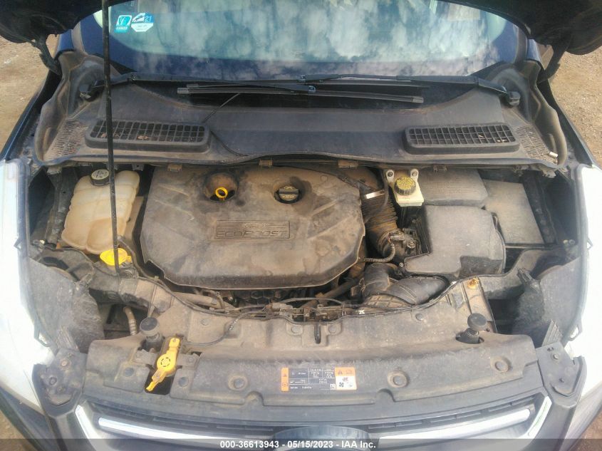 2013 FORD ESCAPE SEL - 1FMCU0H92DUD24484
