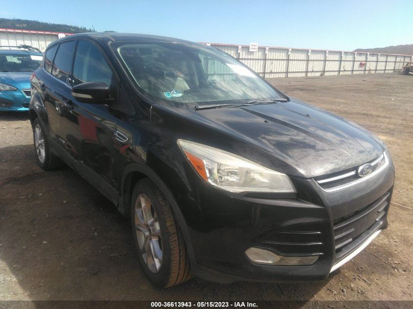 2013 FORD ESCAPE SEL - 1FMCU0H92DUD24484