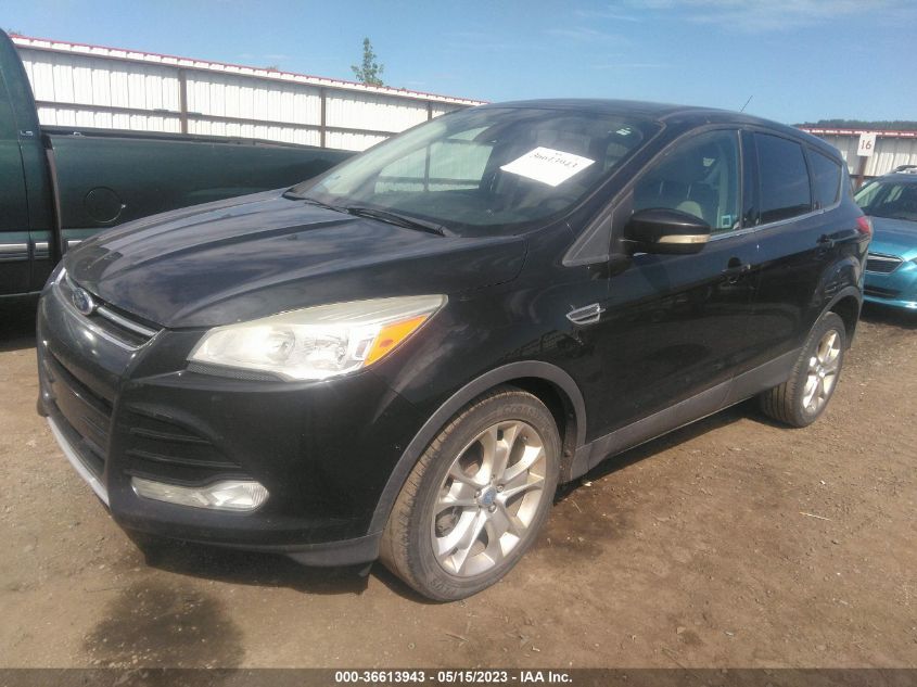 2013 FORD ESCAPE SEL - 1FMCU0H92DUD24484