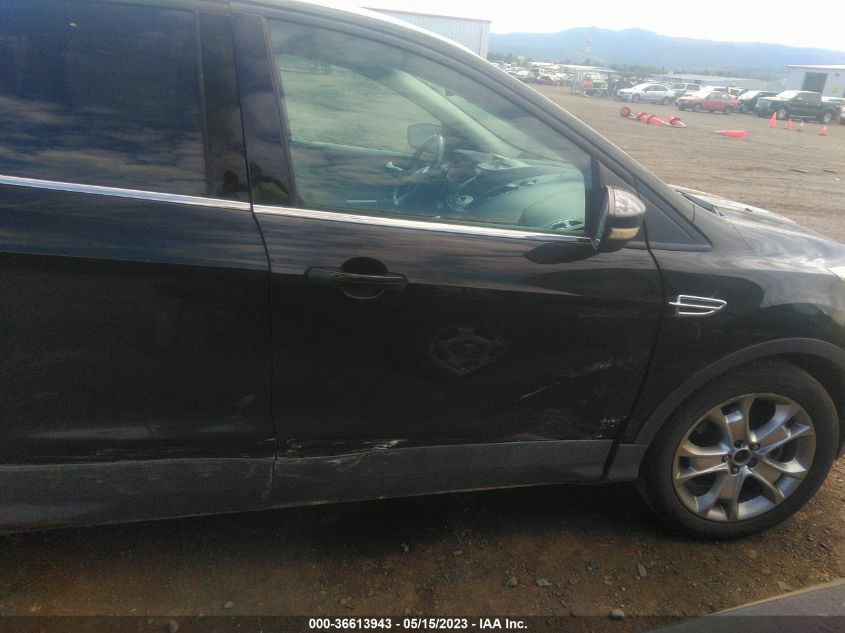 2013 FORD ESCAPE SEL - 1FMCU0H92DUD24484