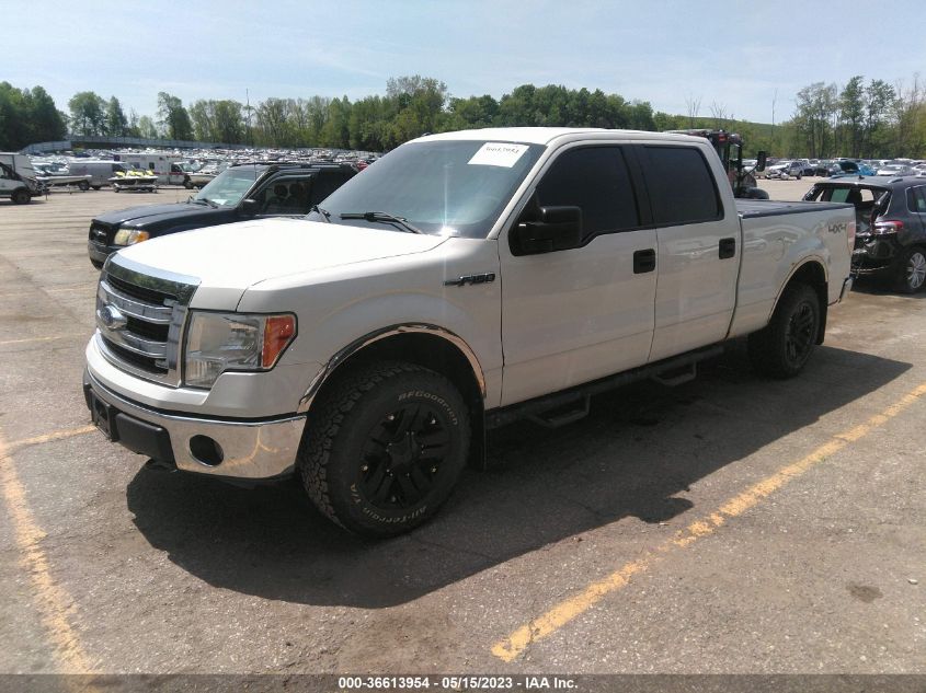 2013 FORD F-150 XL/XLT/FX4/LARIAT - 1FTFW1EF5DFA00185