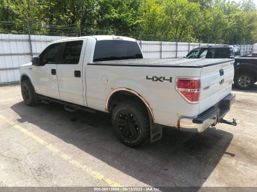 2013 FORD F-150 XL/XLT/FX4/LARIAT - 1FTFW1EF5DFA00185