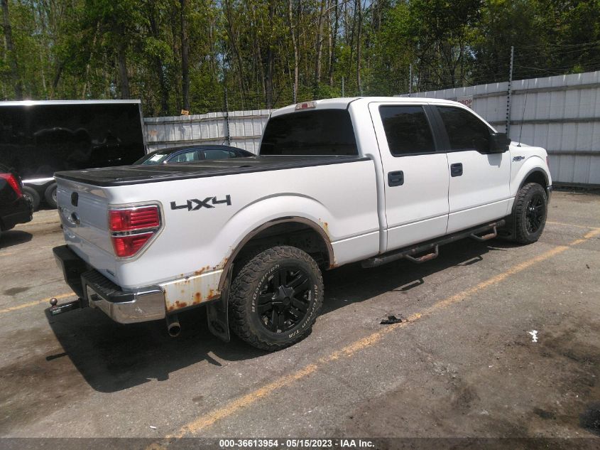 2013 FORD F-150 XL/XLT/FX4/LARIAT - 1FTFW1EF5DFA00185
