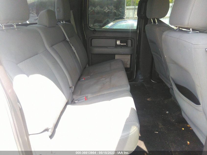 2013 FORD F-150 XL/XLT/FX4/LARIAT - 1FTFW1EF5DFA00185