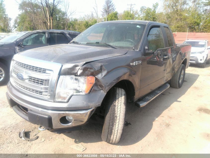 2013 FORD F-150 XL/STX/XLT/FX4/LARIAT - 1FTFX1EF5DFE00194