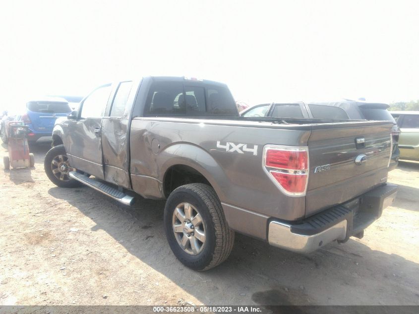 2013 FORD F-150 XL/STX/XLT/FX4/LARIAT - 1FTFX1EF5DFE00194