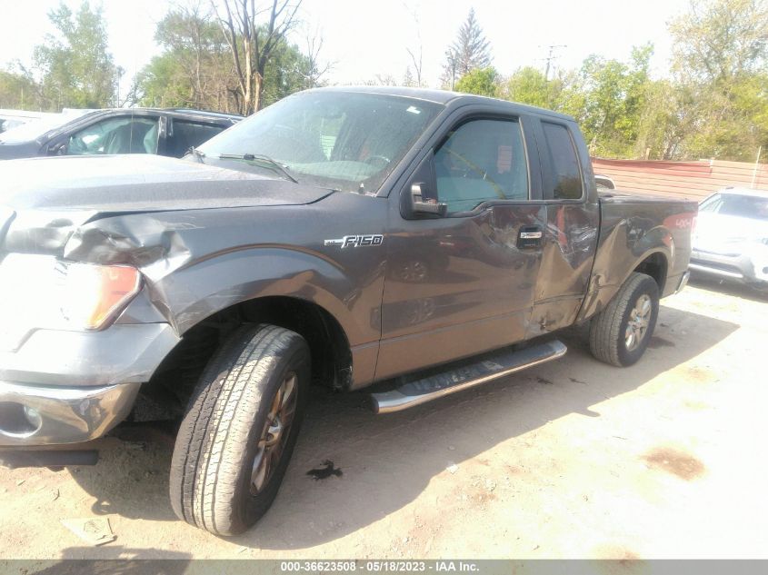 2013 FORD F-150 XL/STX/XLT/FX4/LARIAT - 1FTFX1EF5DFE00194