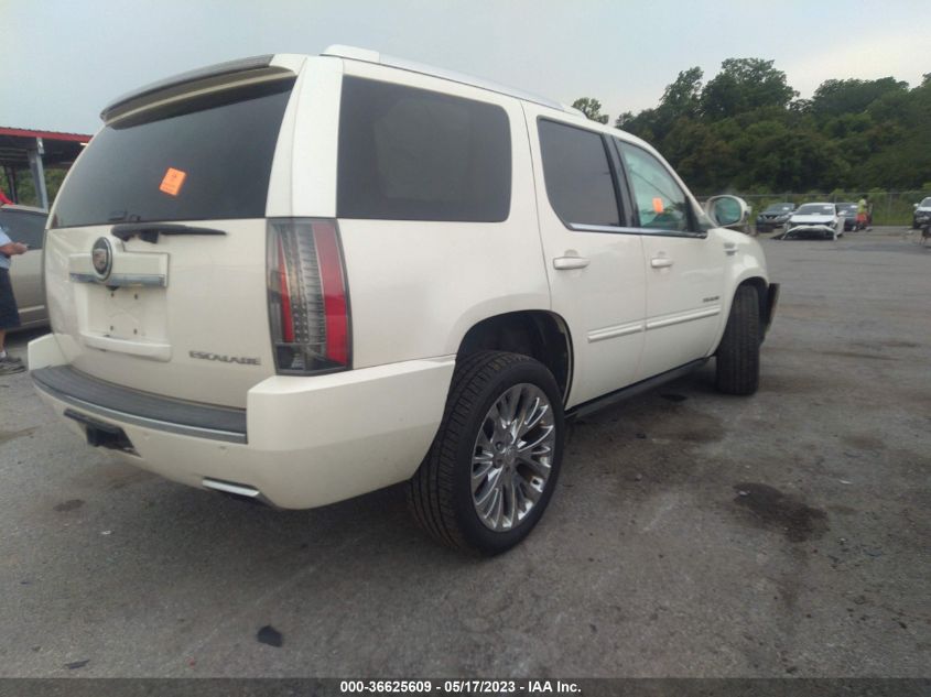 2013 CADILLAC ESCALADE PREMIUM - 1GYS4CEF5DR243312