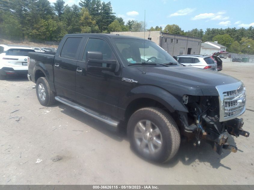 2013 FORD F-150 XLT/FX4/LARIAT/PLATINUM - 1FTFW1E60DFA24670