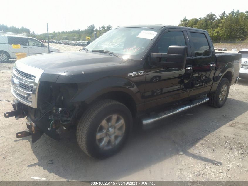 2013 FORD F-150 XLT/FX4/LARIAT/PLATINUM - 1FTFW1E60DFA24670