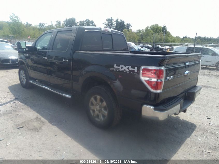 2013 FORD F-150 XLT/FX4/LARIAT/PLATINUM - 1FTFW1E60DFA24670