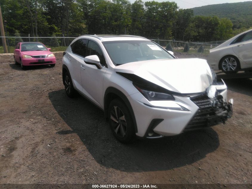 2019 LEXUS NX NX 300 - JTJBARBZ3K2182089