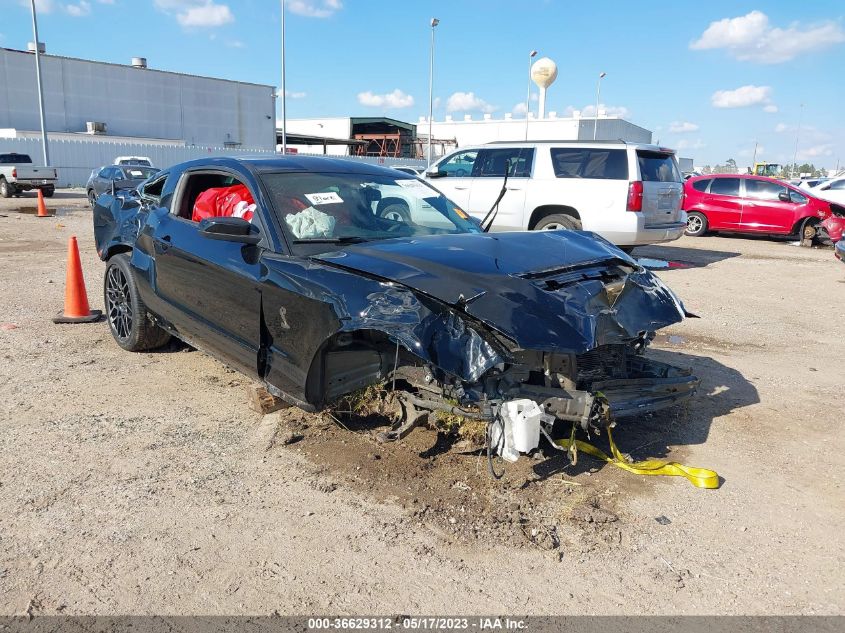 2014 FORD MUSTANG SHELBY GT500 - 1ZVBP8JZ2E5238911