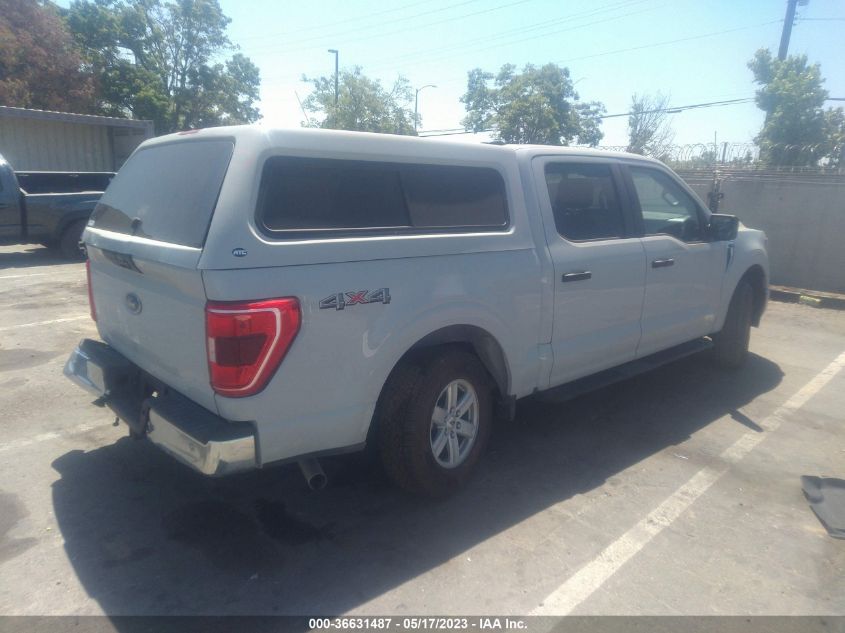 2023 FORD F-150 XL/XLT/LARIAT - 1FTFW1E51PFA13379