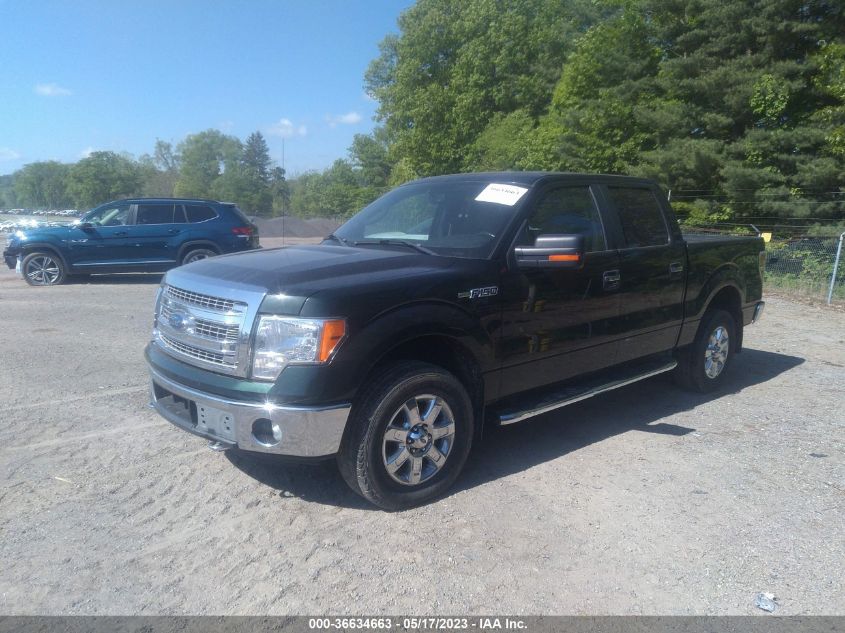 2013 FORD F-150 XL/XLT/FX4/LARIAT - 1FTFW1EF9DKD21556