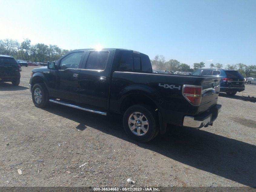 2013 FORD F-150 XL/XLT/FX4/LARIAT - 1FTFW1EF9DKD21556