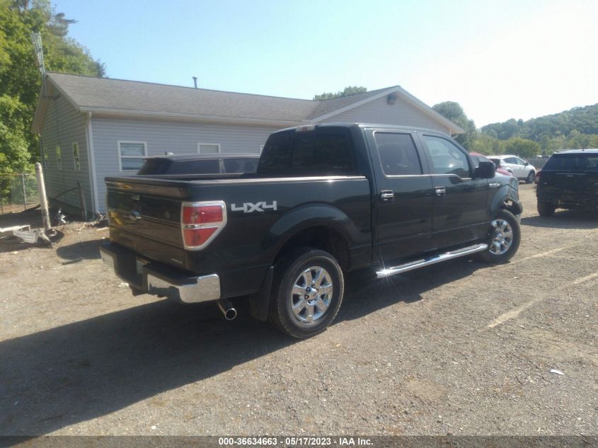 2013 FORD F-150 XL/XLT/FX4/LARIAT - 1FTFW1EF9DKD21556