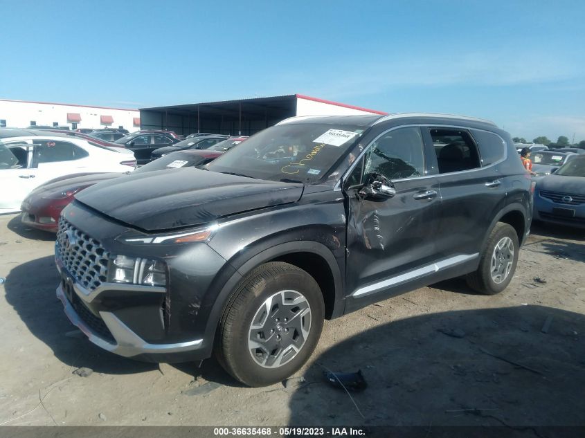 2023 HYUNDAI SANTA FE HYBRID BLUE - 5NMS2DA11PH001833