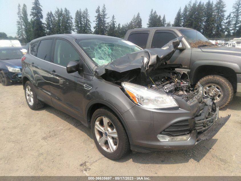 2014 FORD ESCAPE SE - 1FMCU9G93EUA16084