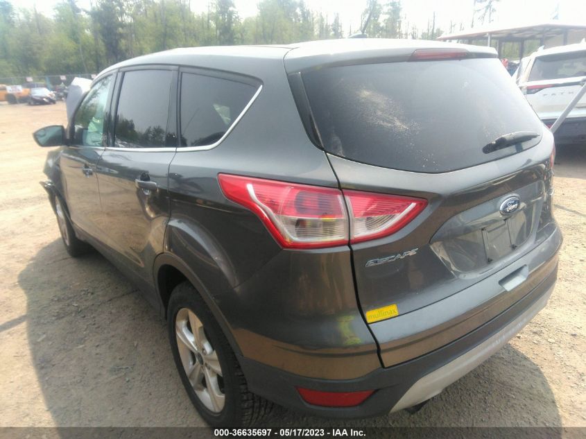 2014 FORD ESCAPE SE - 1FMCU9G93EUA16084