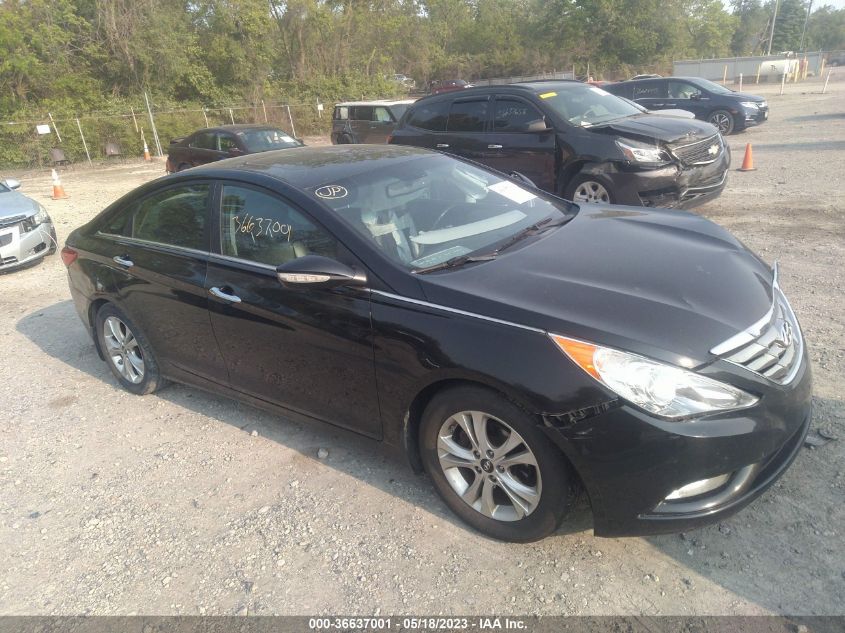 2013 HYUNDAI SONATA LIMITED - 5NPEC4AC1DH542634