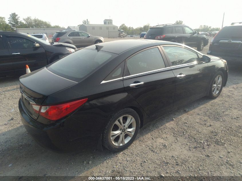 2013 HYUNDAI SONATA LIMITED - 5NPEC4AC1DH542634