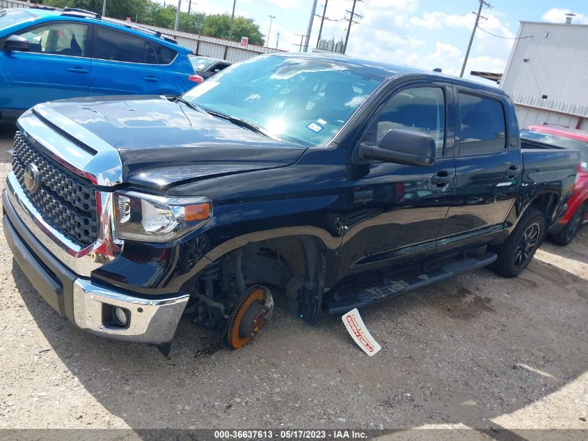 2021 TOYOTA TUNDRA 2WD SR5 - 5TFEY5F15MX293063
