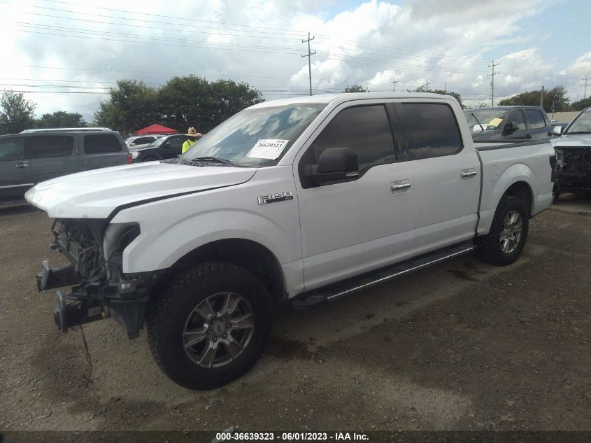 2015 FORD F-150 XLT/XL - 1FTEW1C86FKF15884