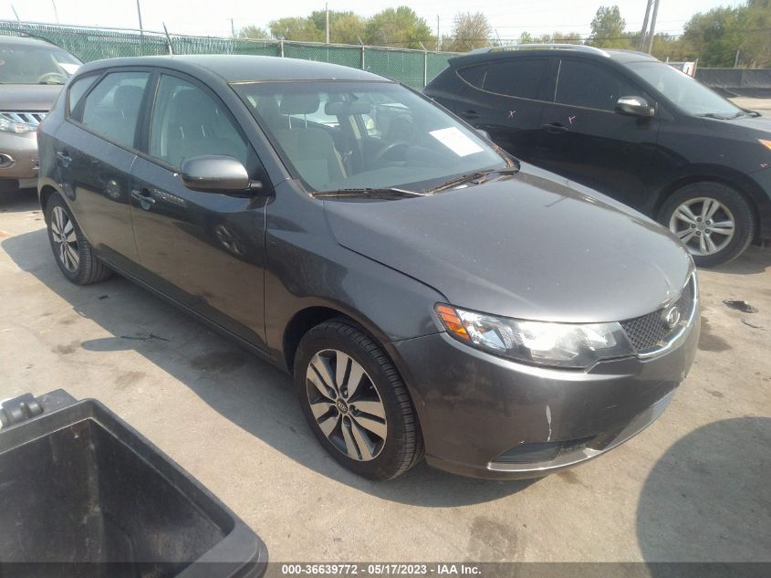 2013 KIA FORTE 5-DOOR EX - KNAFU5A2XD5742357