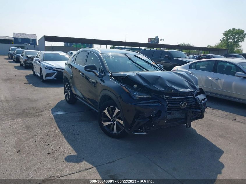 2020 LEXUS NX NX 300 - JTJGARBZ2L5014823