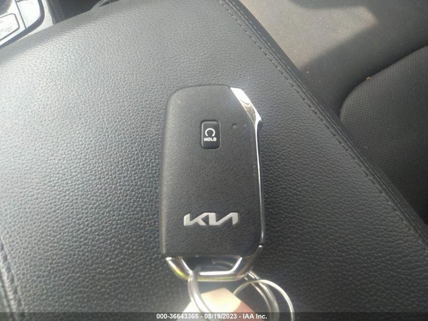2023 KIA SPORTAGE EX - 5XYK3CAFXPG018515