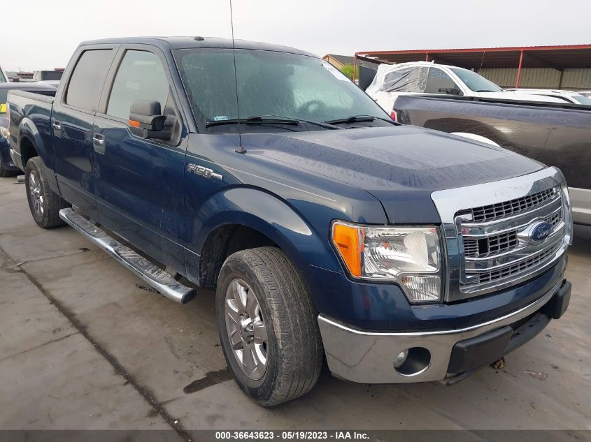 2013 FORD F-150 XL/XLT - 1FTEW1CM6DKE16718