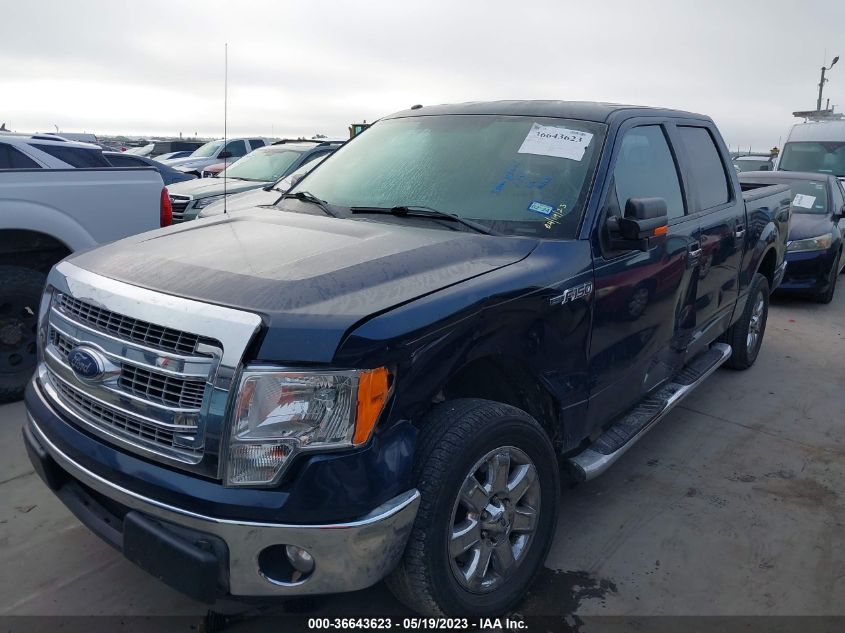 2013 FORD F-150 XL/XLT - 1FTEW1CM6DKE16718