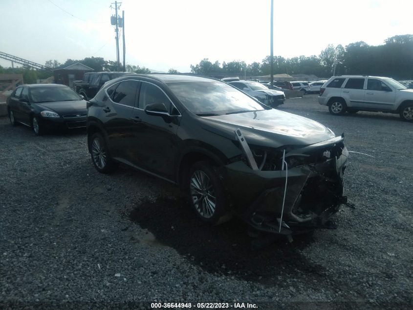 2022 LEXUS NX NX 350H PREMIUM - JTJGKCEZ3N2004585