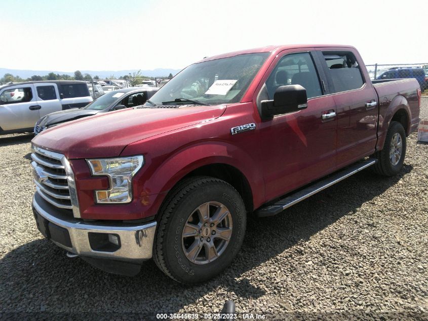 2015 FORD F-150 XLT/XL/LARIAT/PLATINUM - 1FTEW1EF7FKD98070