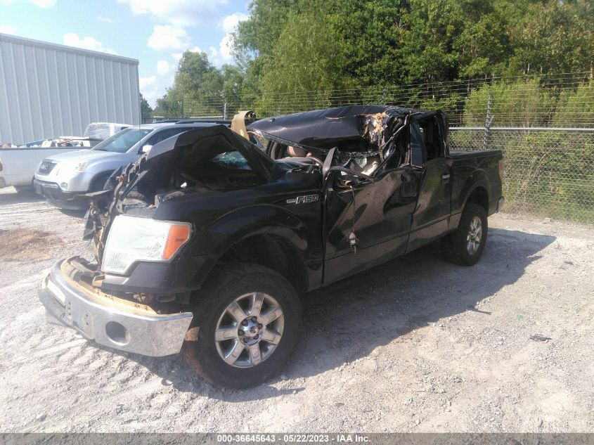 2013 FORD F-150 XL/XLT/FX4/LARIAT - 1FTFW1EF0DFD95120