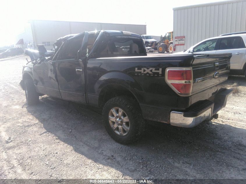 2013 FORD F-150 XL/XLT/FX4/LARIAT - 1FTFW1EF0DFD95120