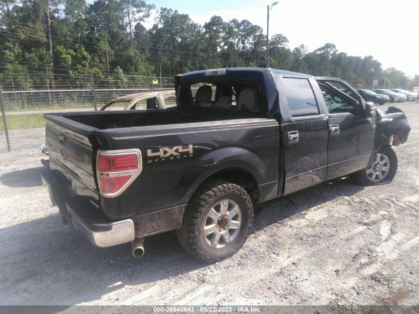 2013 FORD F-150 XL/XLT/FX4/LARIAT - 1FTFW1EF0DFD95120
